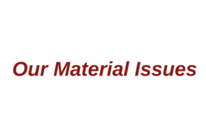 Our Material Issues 2020